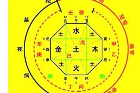 八字 命主|生辰八字算命、五行喜用神查詢（免費測算）